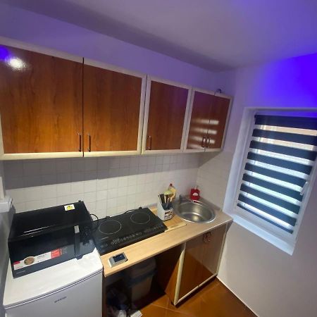 Andi 1-Apartament 2 Camere Băile Herculane エクステリア 写真