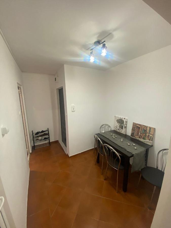 Andi 1-Apartament 2 Camere Băile Herculane エクステリア 写真